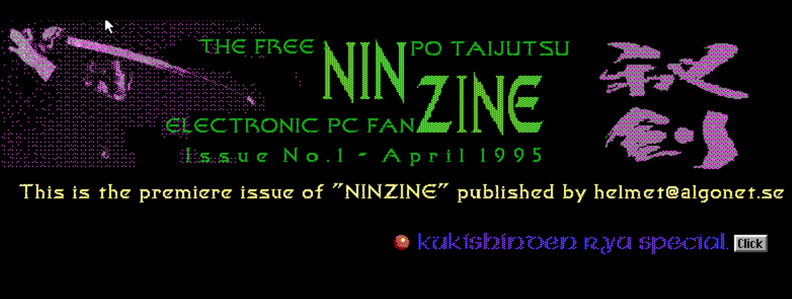 NinZine Issue 1995